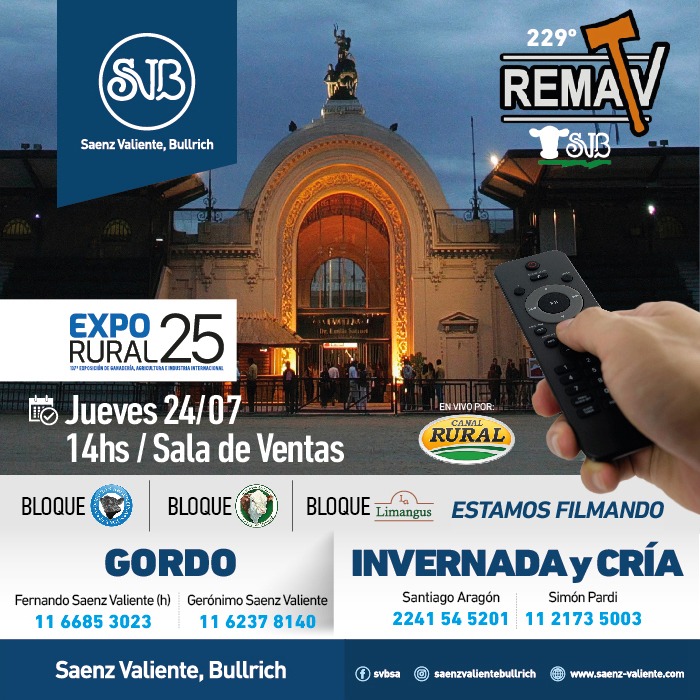 HAGA CLICK Y VEA LOS LOTES