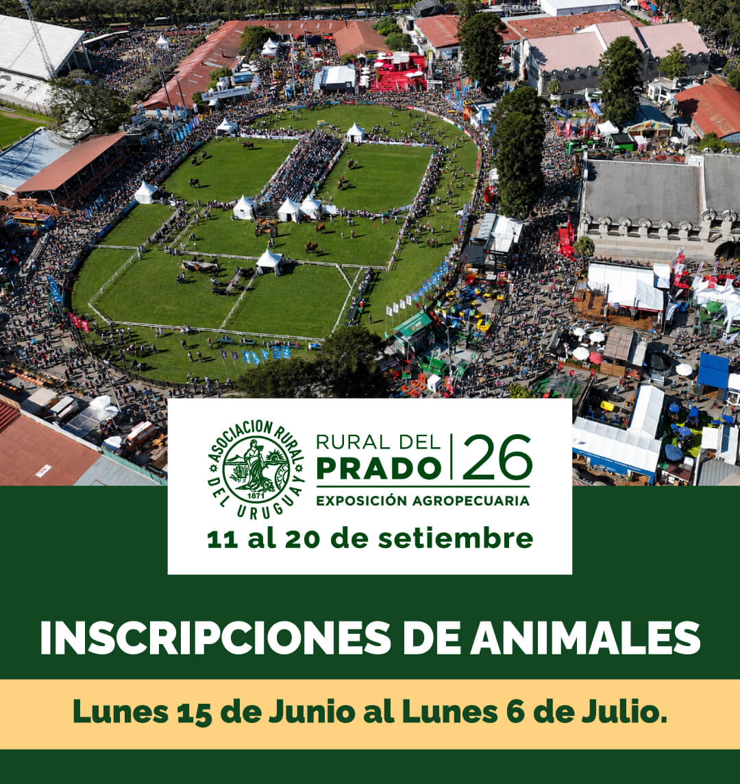 Haga clic para descargar los formularios!