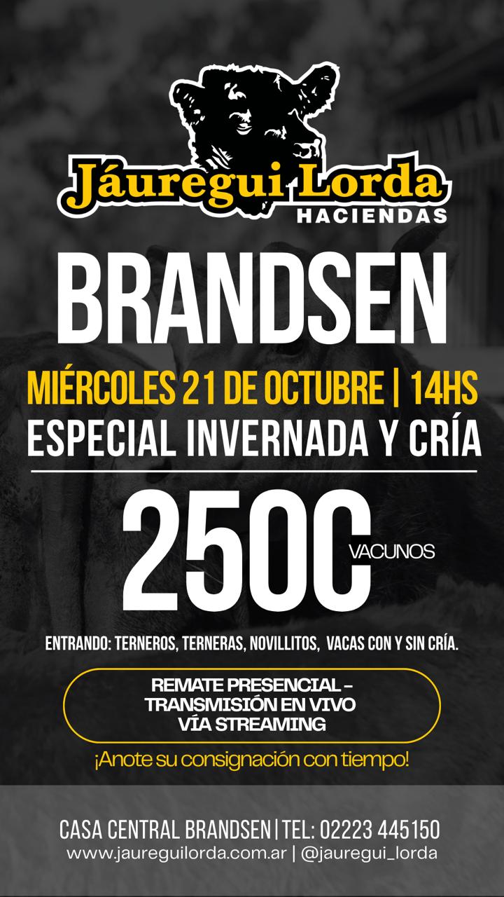 ANOTE SU CONSIGNACIÓN....!!!!!!