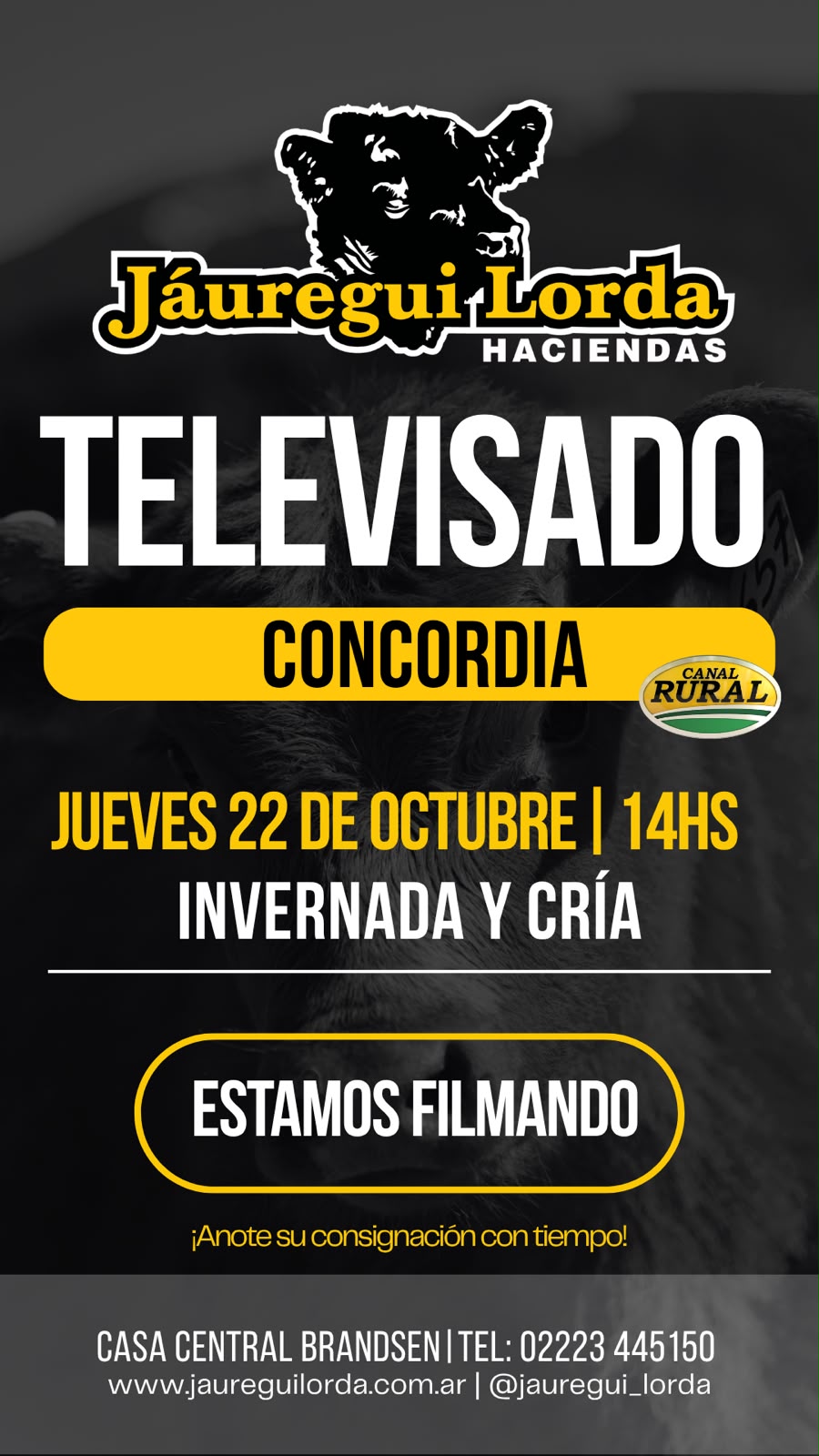 ESTAMOS FILMANDO!!!!!!