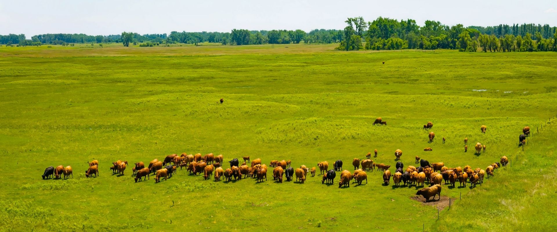 La experiencia no se improvisa