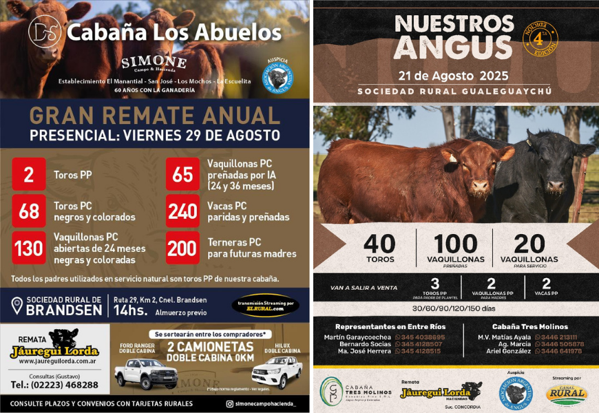 Los Esperamos! 