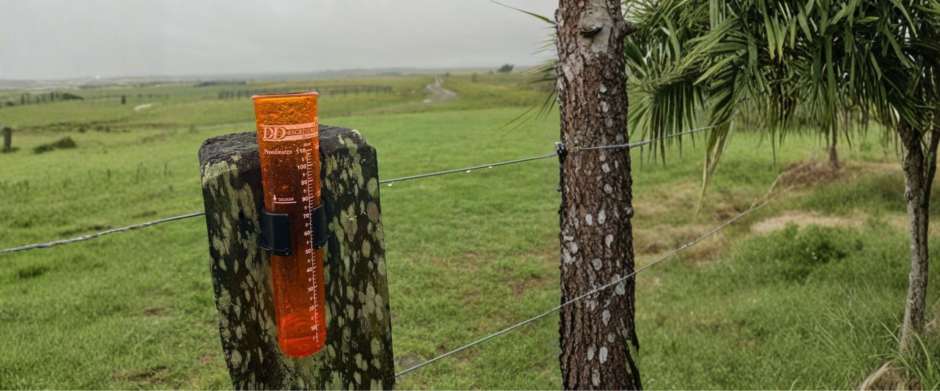 Todos los negocios en un solo lugar