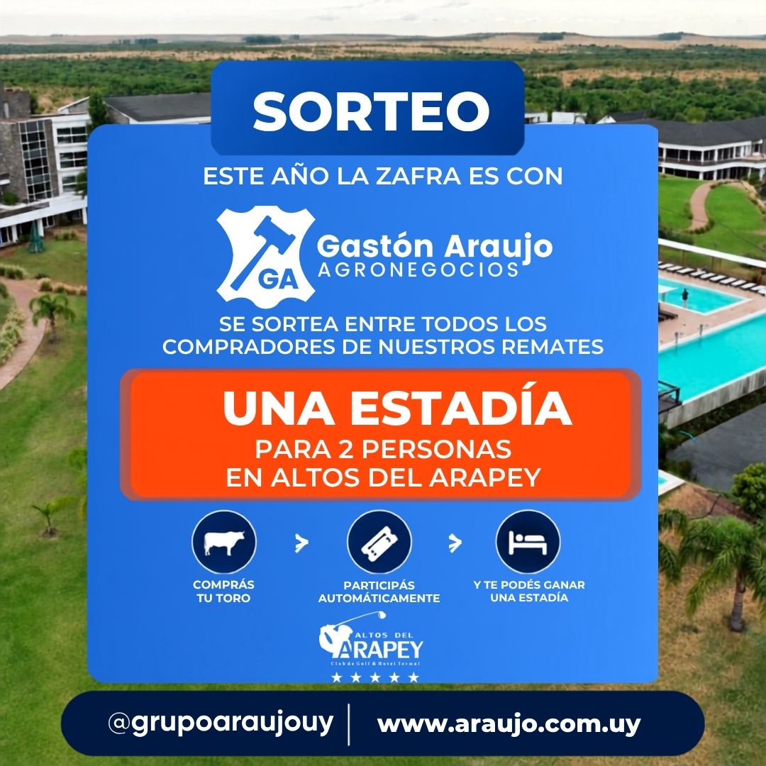 SORTEO!