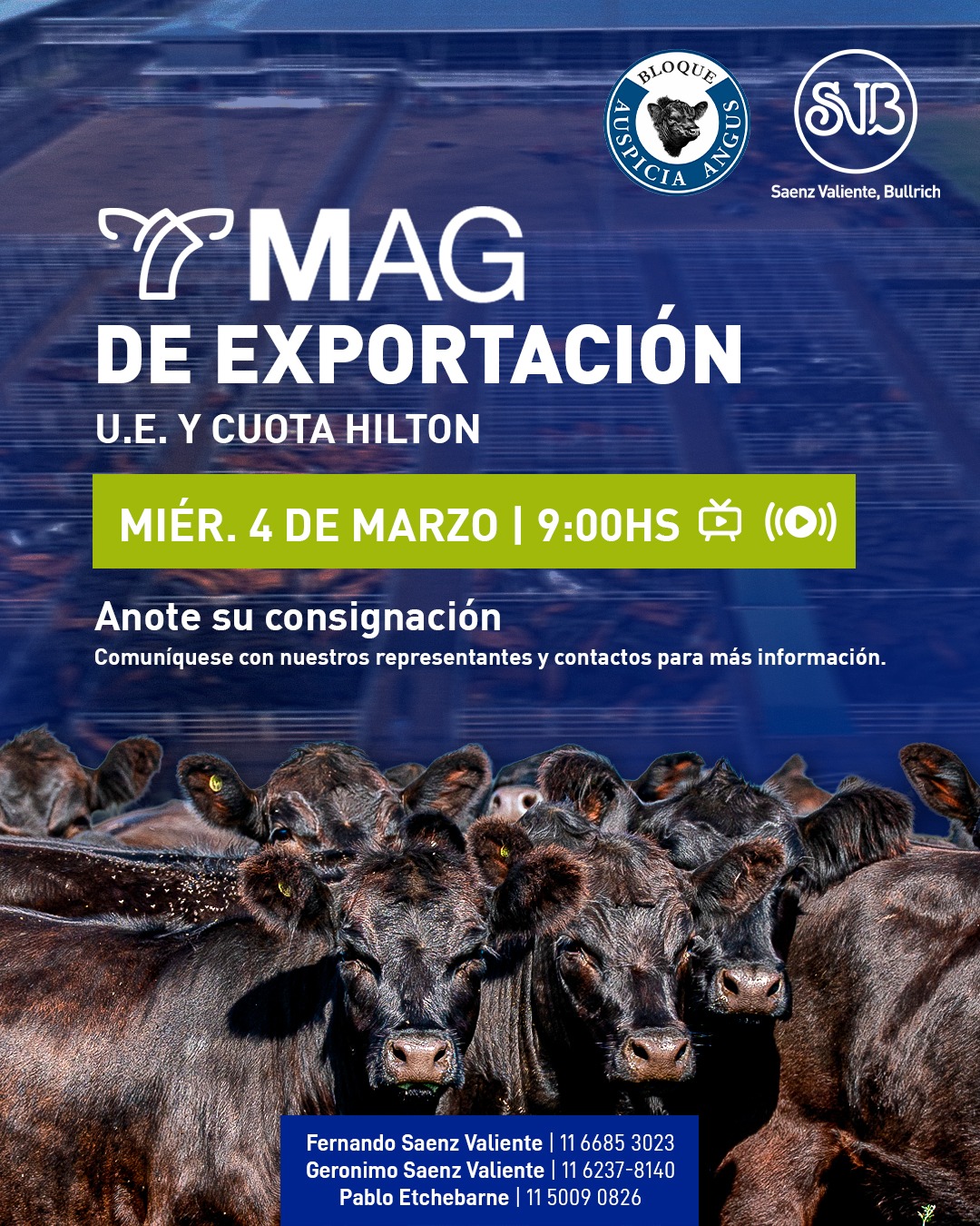 Haga click y vea los lotes.