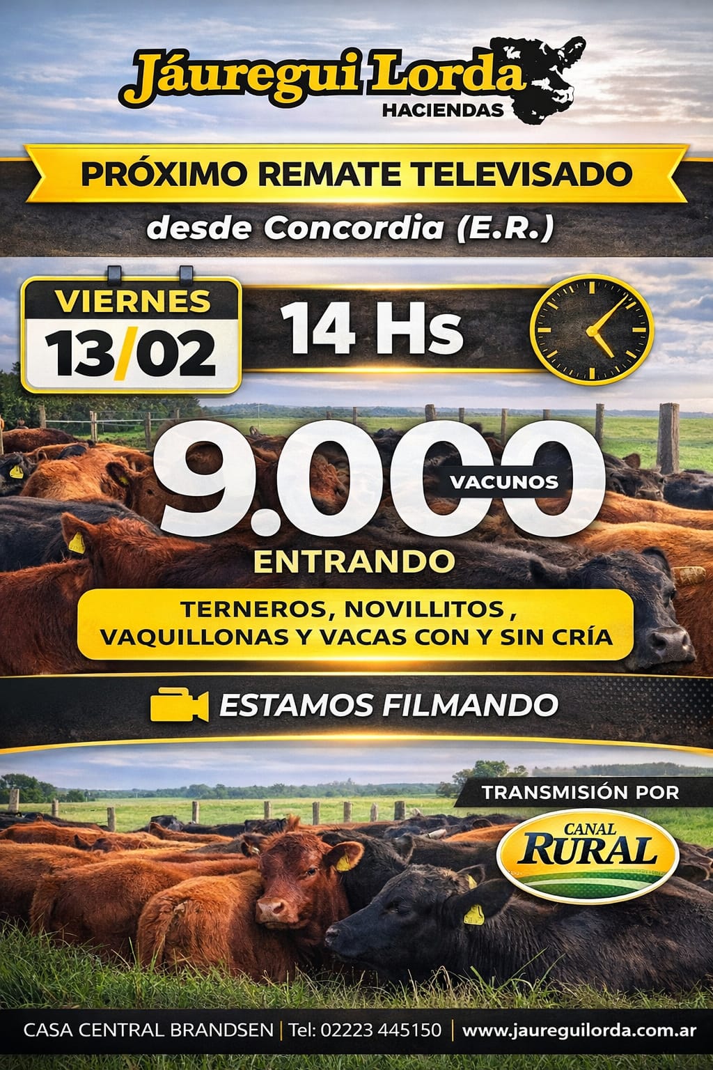 HACE CLIC PARA VER LOS LOTES...!!!