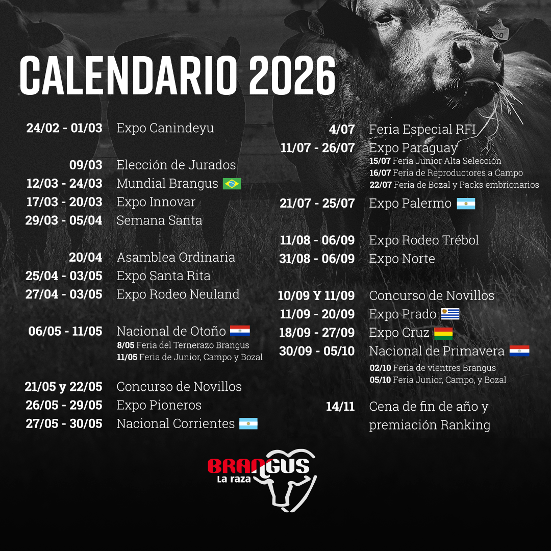 Calendario de Actividades