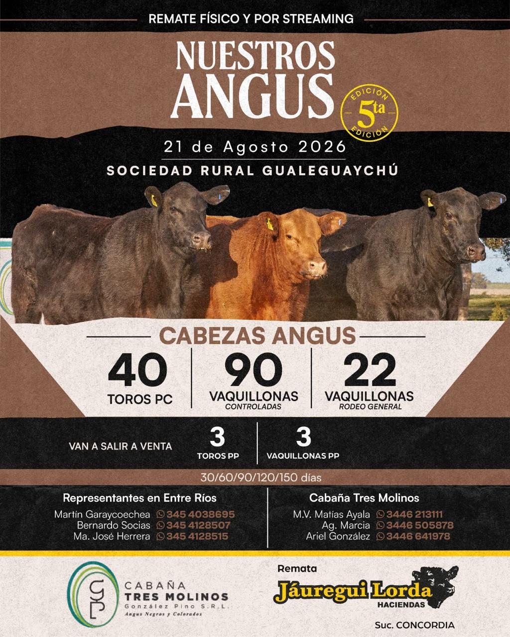 VER CATALOGO..!!!!!