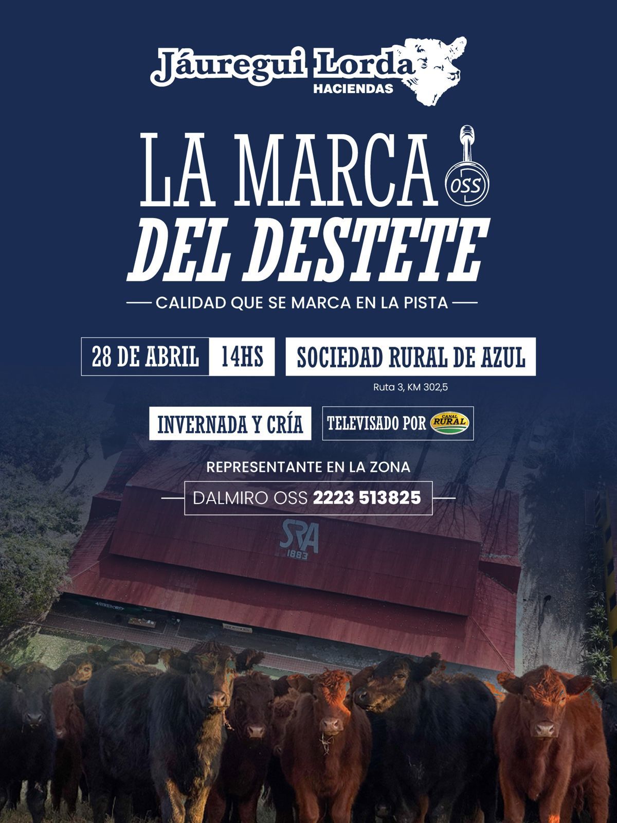 HACE CLIC PARA VER LOS LOTES...!!!