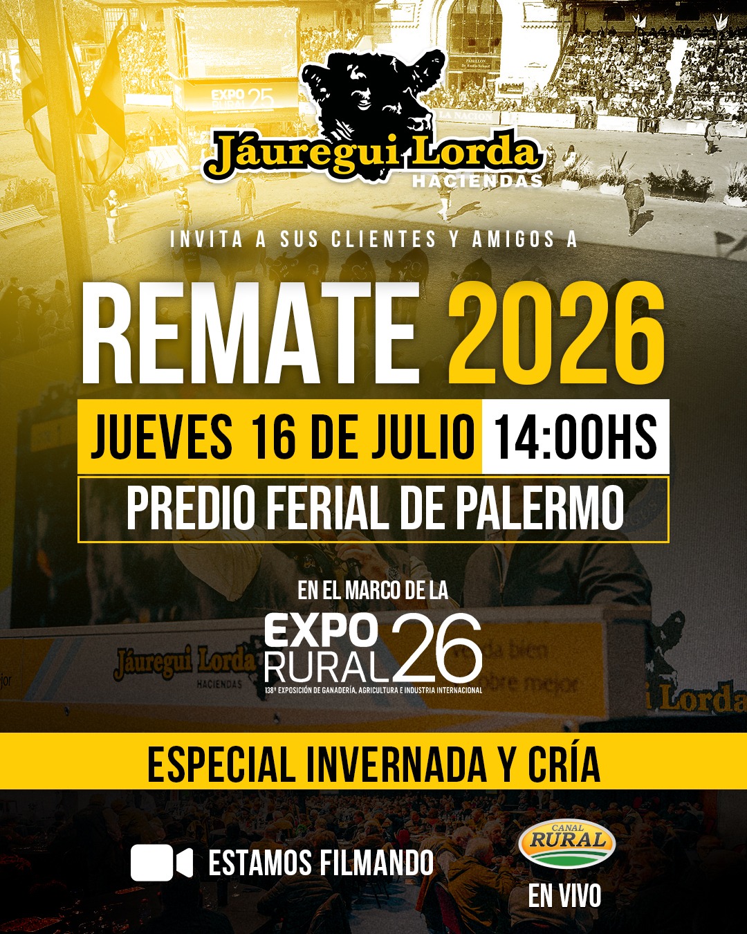HACE CLIC PARA VER LOS LOTES...!!!