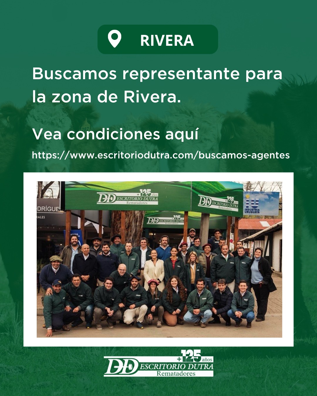 Buscamos representante para Rivera