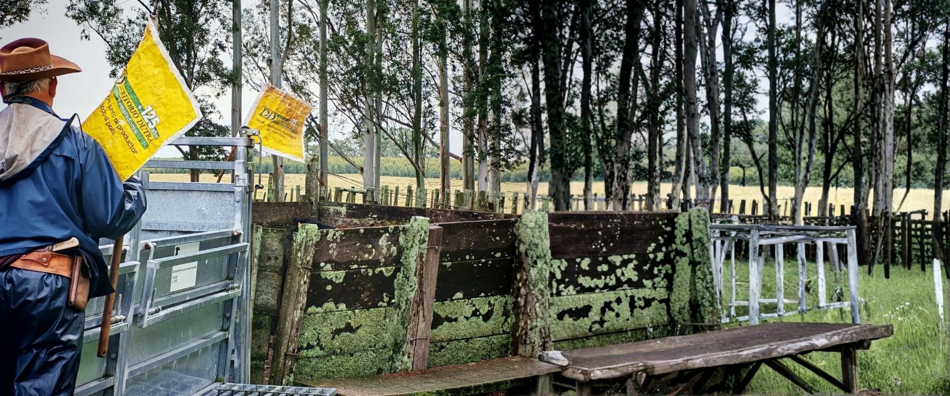 Más de 125 años de respaldo