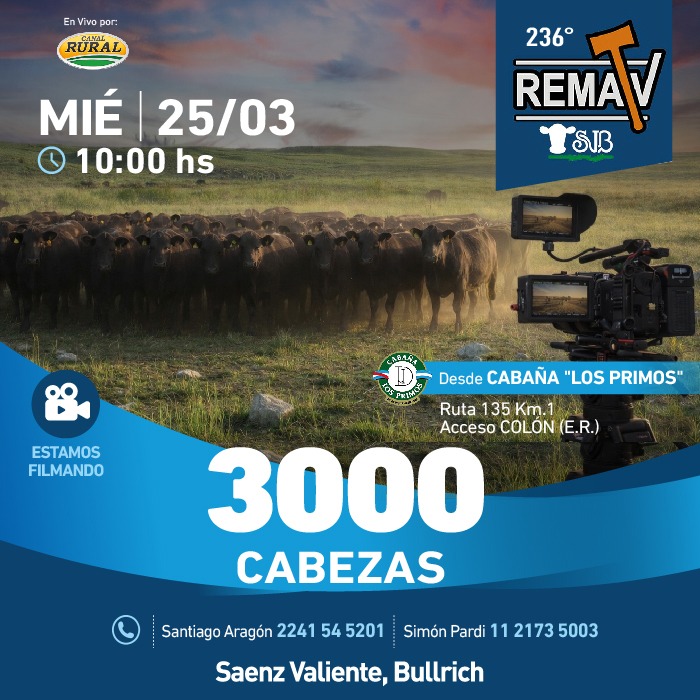 Haga click y vea los lotes.