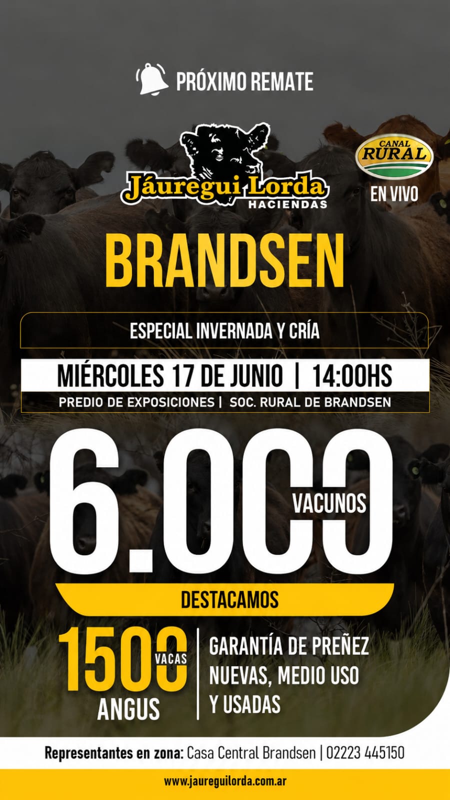 HACE CLIC PARA VER LOS LOTES...!!!