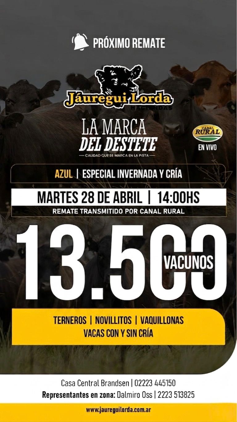 HACE CLIC PARA VER LOS LOTES...!!!