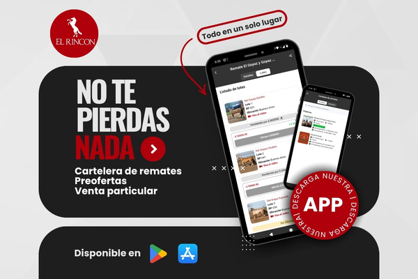Descargá la App!! 