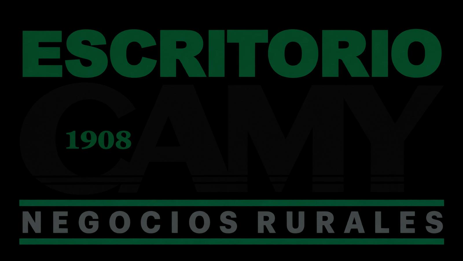 Escritorio Camy