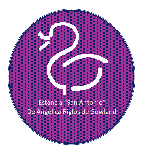 Remate Cabaña Angus Amancay