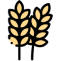 Sorgo