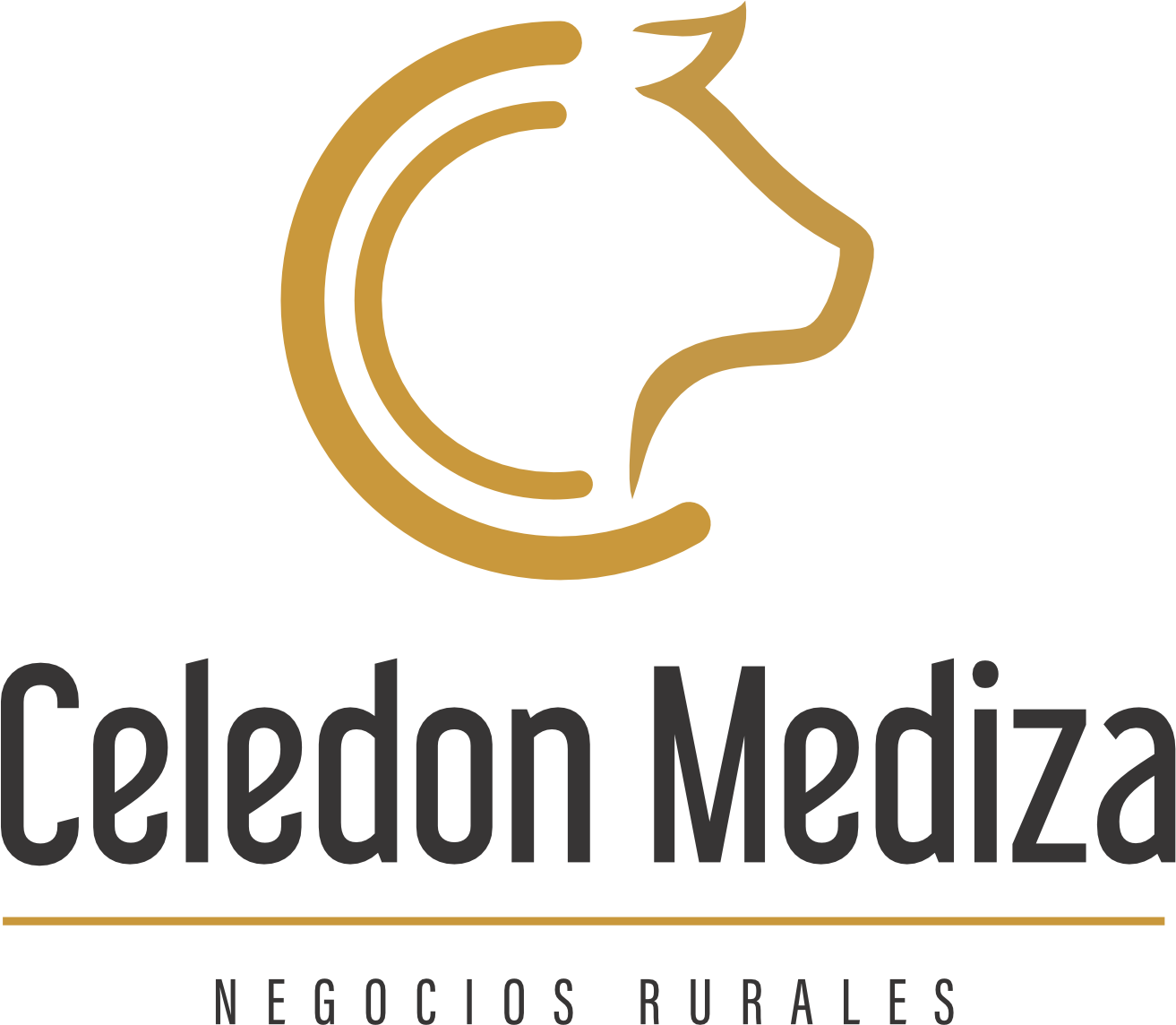 Celedón Mediza Negocios Rurales
