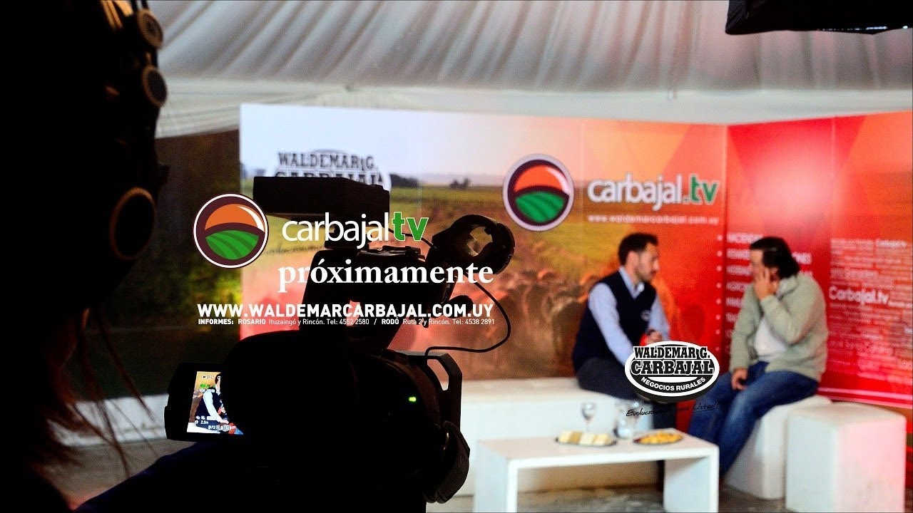 Carbajal TV