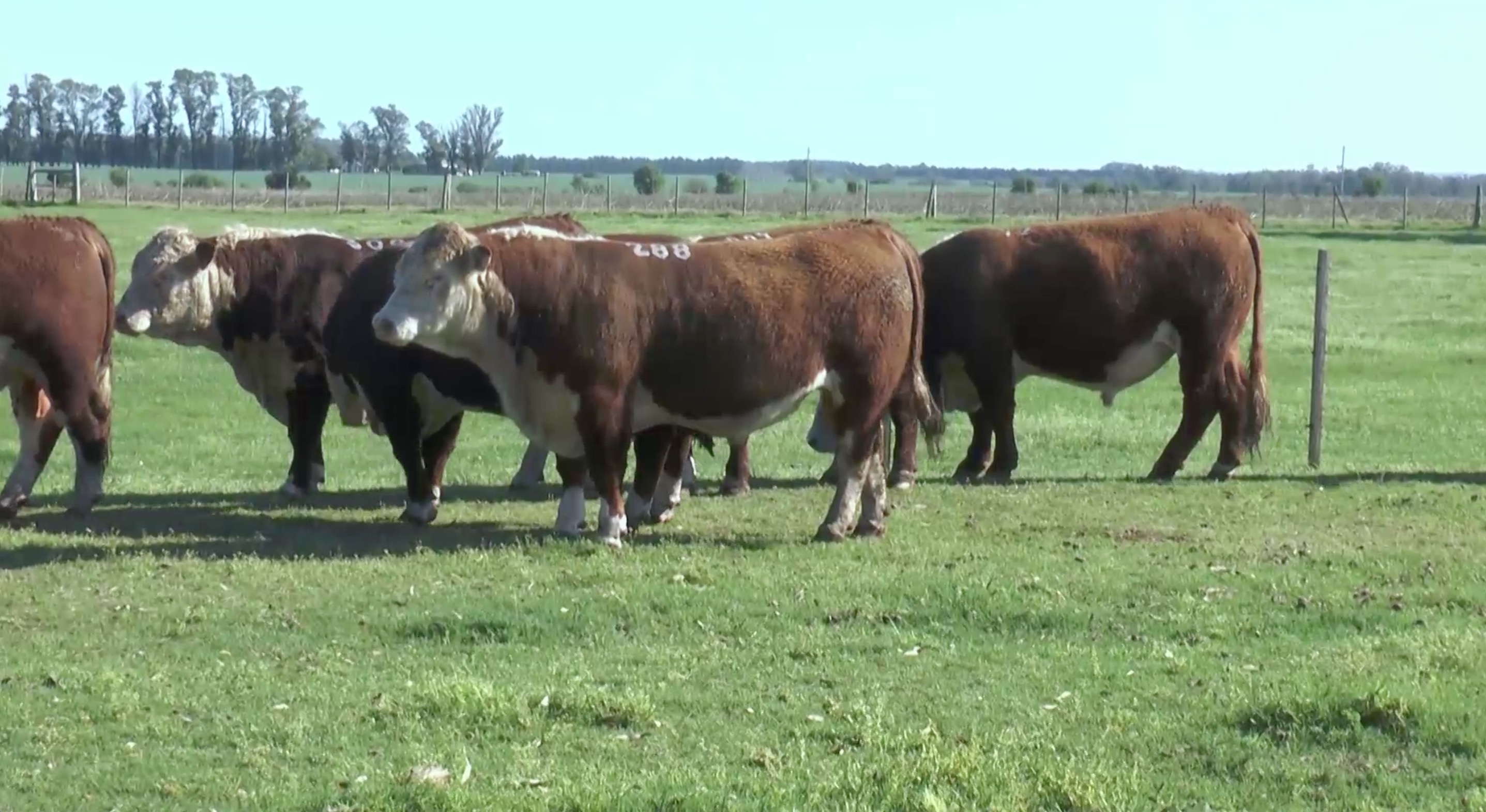 Jornada de Campo 2018