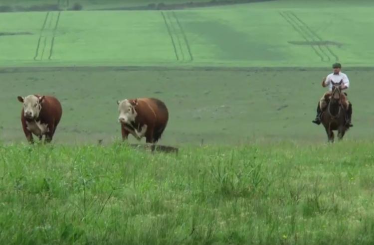 Jornada de campo 2017