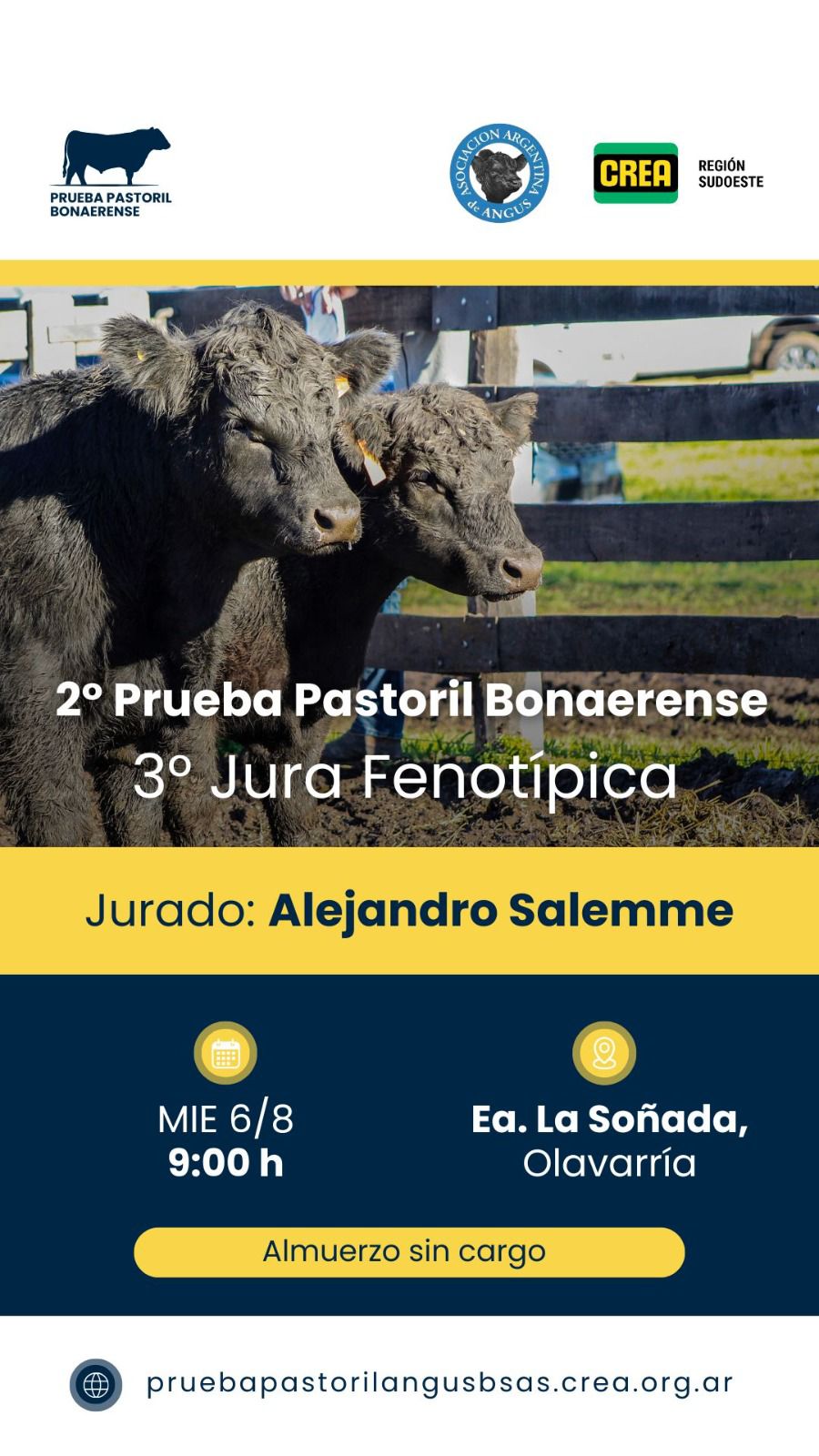 Tercer Jura Fenotipica de la Asociacion Argentina de Angus