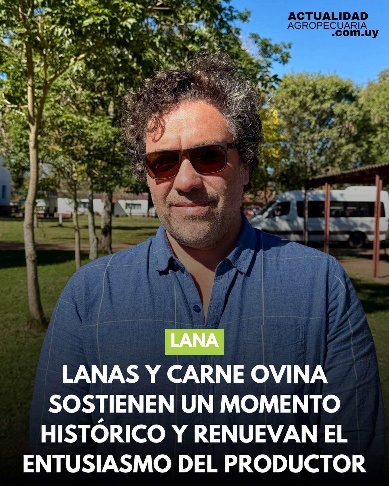 Lanas y carne ovina sostienen un momento histórico y renuevan el entusiasmo del productor.