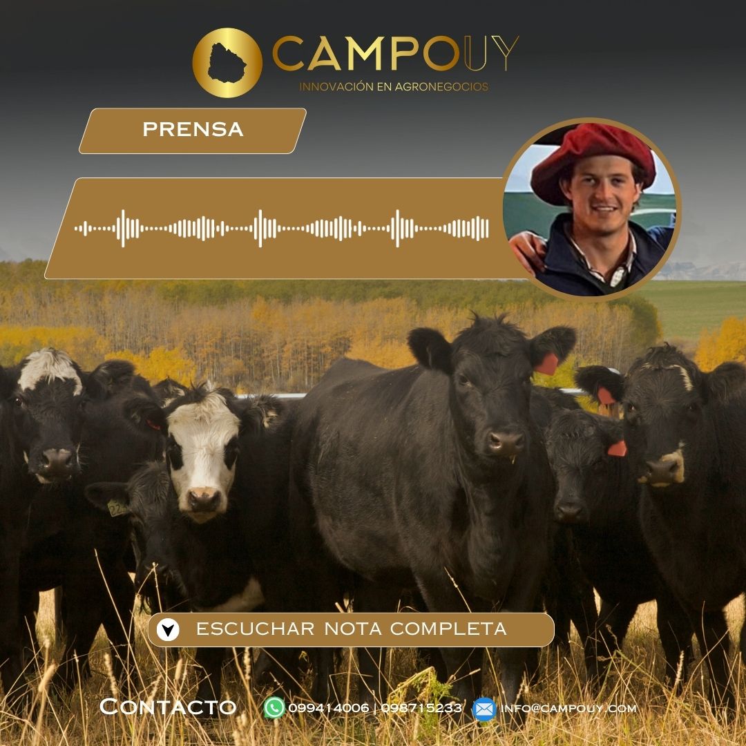 Balance de fin de año y proyecciones: Campo UY consolida su crecimiento y mira al 2026 con nuevas herramientas para el productor