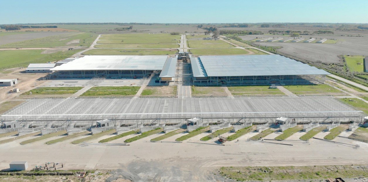 Invierten U$S25 millones  Mudanza histórica: comienza a funcionar el nuevo mercado de hacienda en Cañuelas