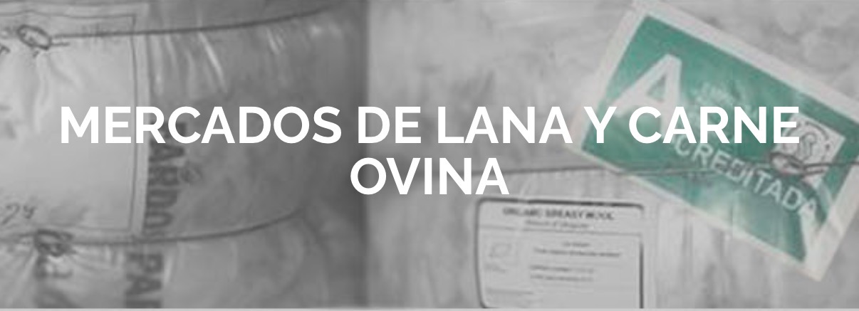 Mercado lana