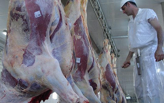 La faena argentina sigue con su curso de leve aumento