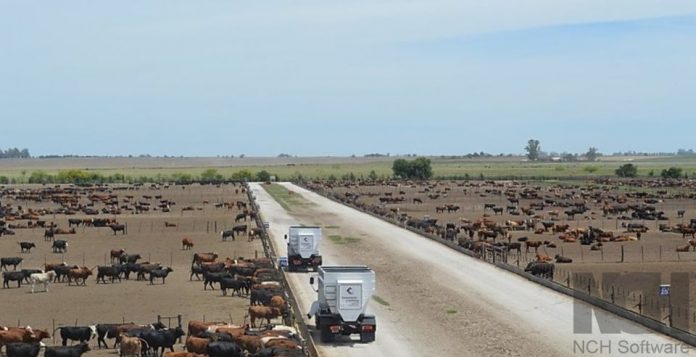 Feedloteros advierten un contexto de incertidumbre global