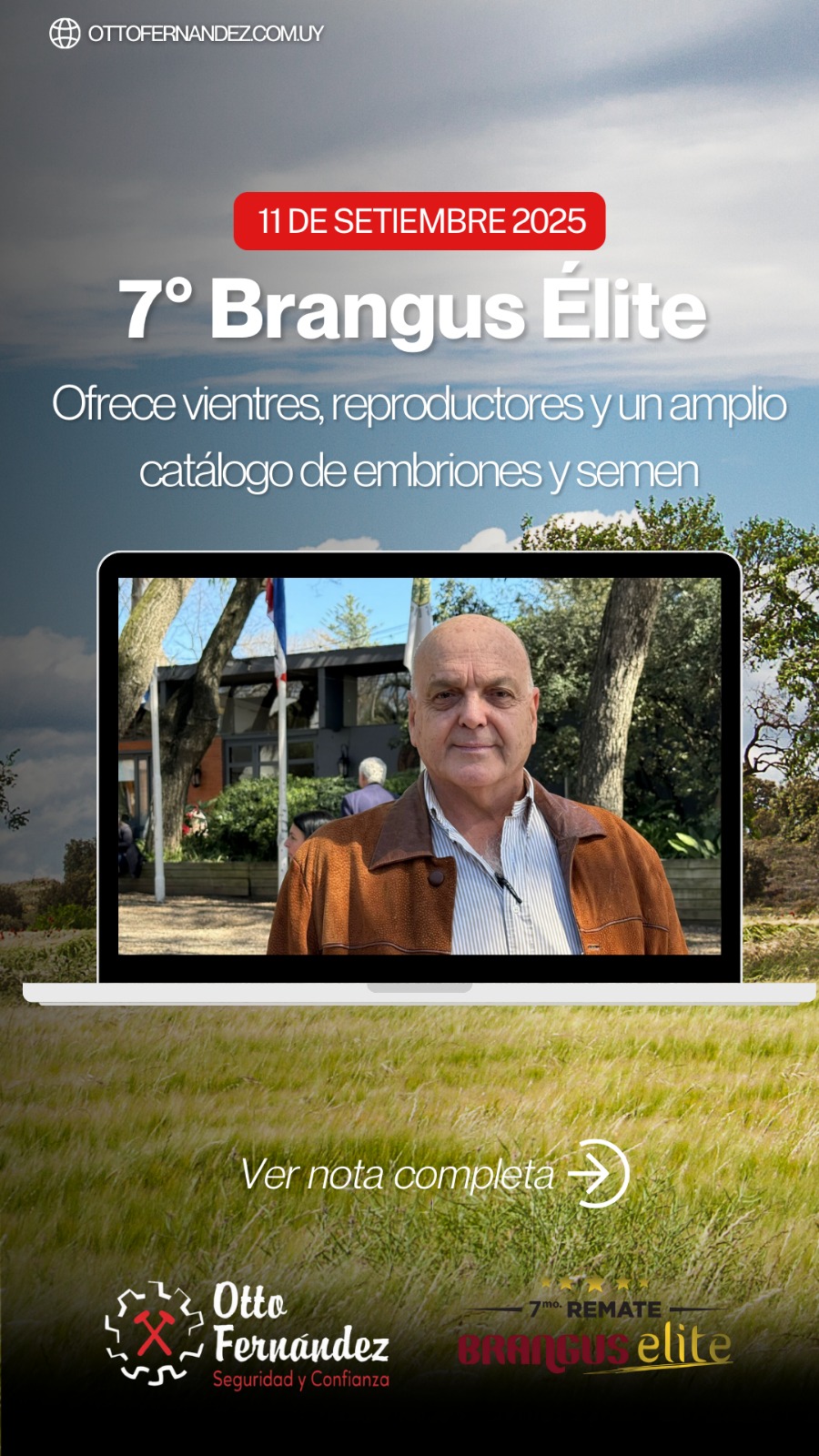 7° Brangus Elite 