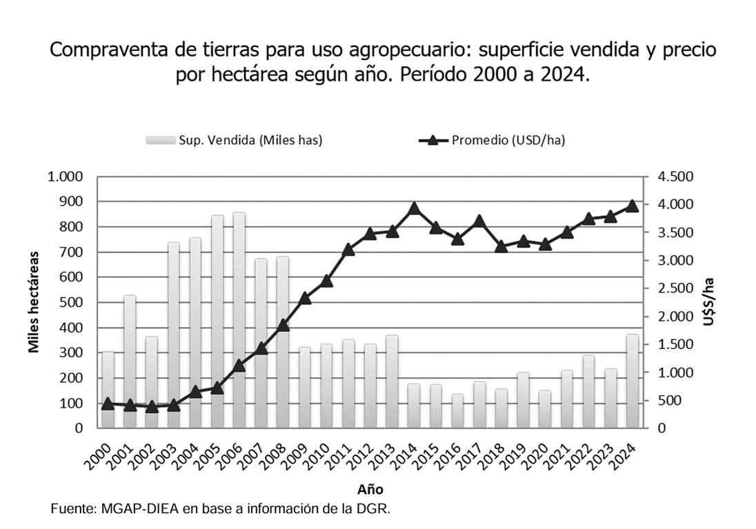 El mercado demanda campos ganaderos medianos mientras los forestales concentran grandes superficies