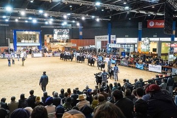 Campo UY destacó la firmeza del mercado y el valor creciente de la genética en la ganadería