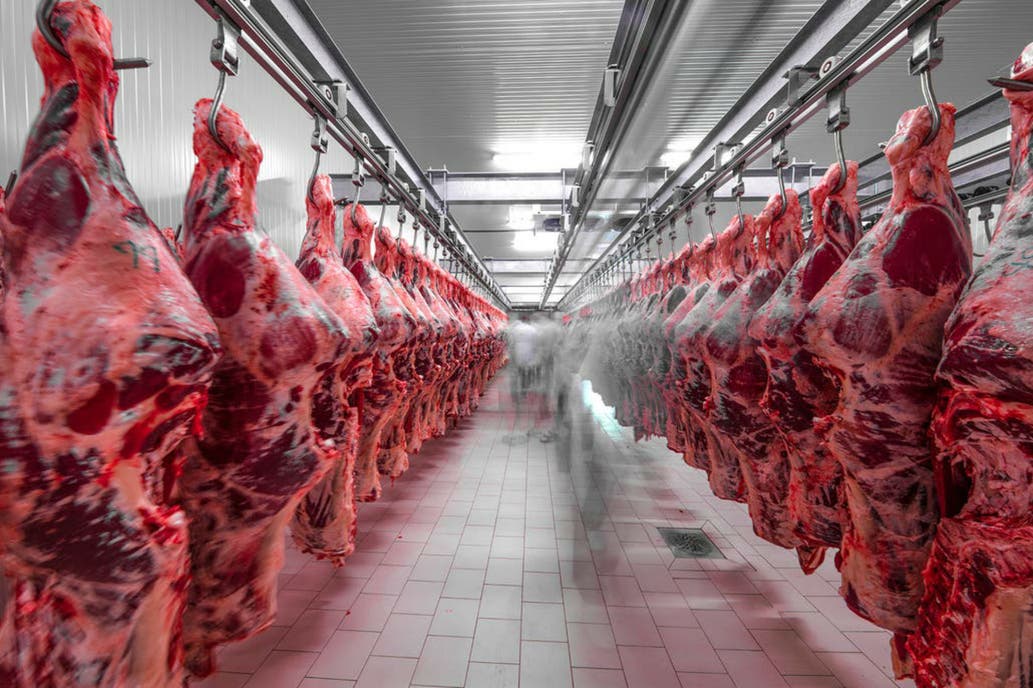 Desaf&iacute;os y oportunidades en las exportaciones de carne argentina