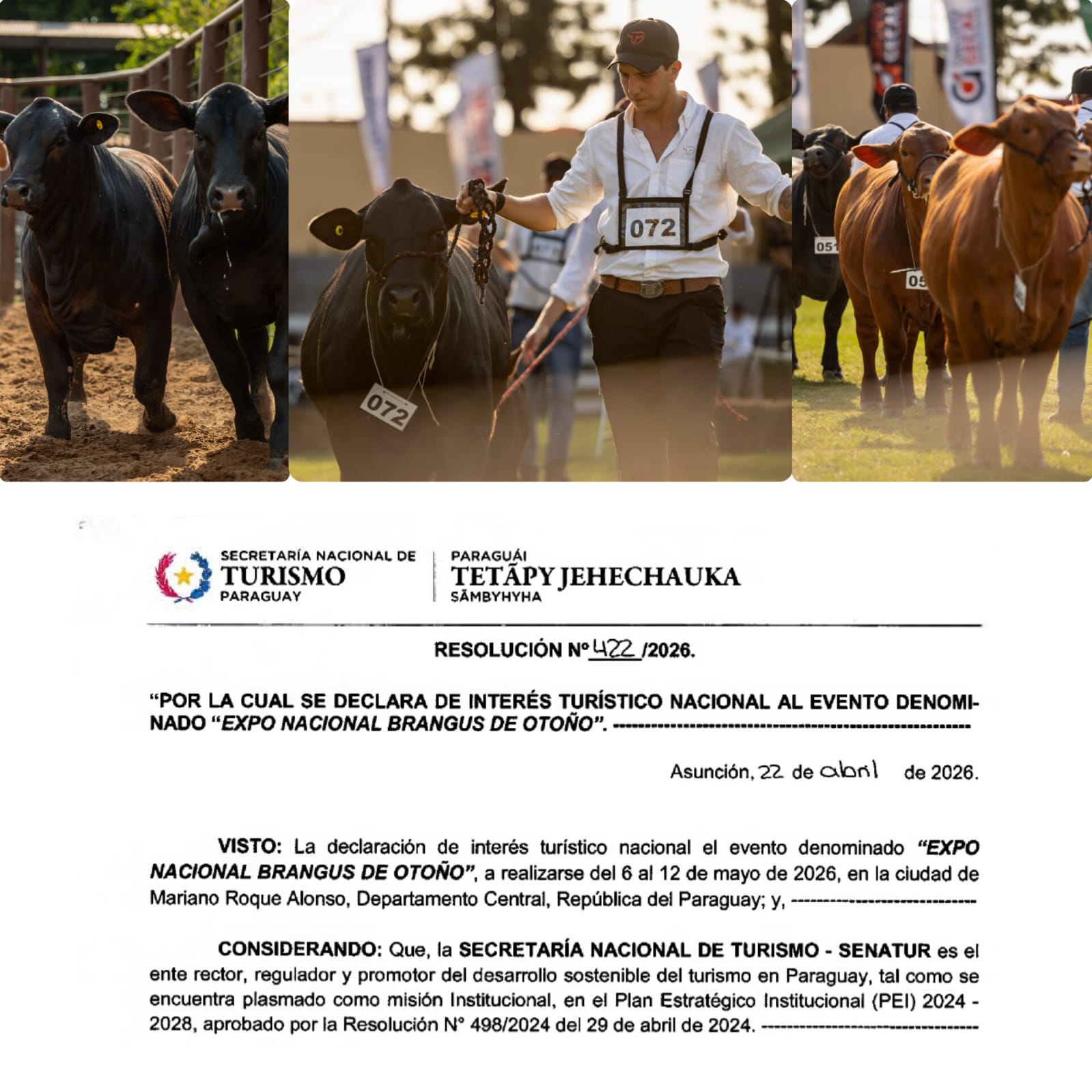 Senatur declara de Interés Turístico Nacional la Expo de Otoño Brangus 2026