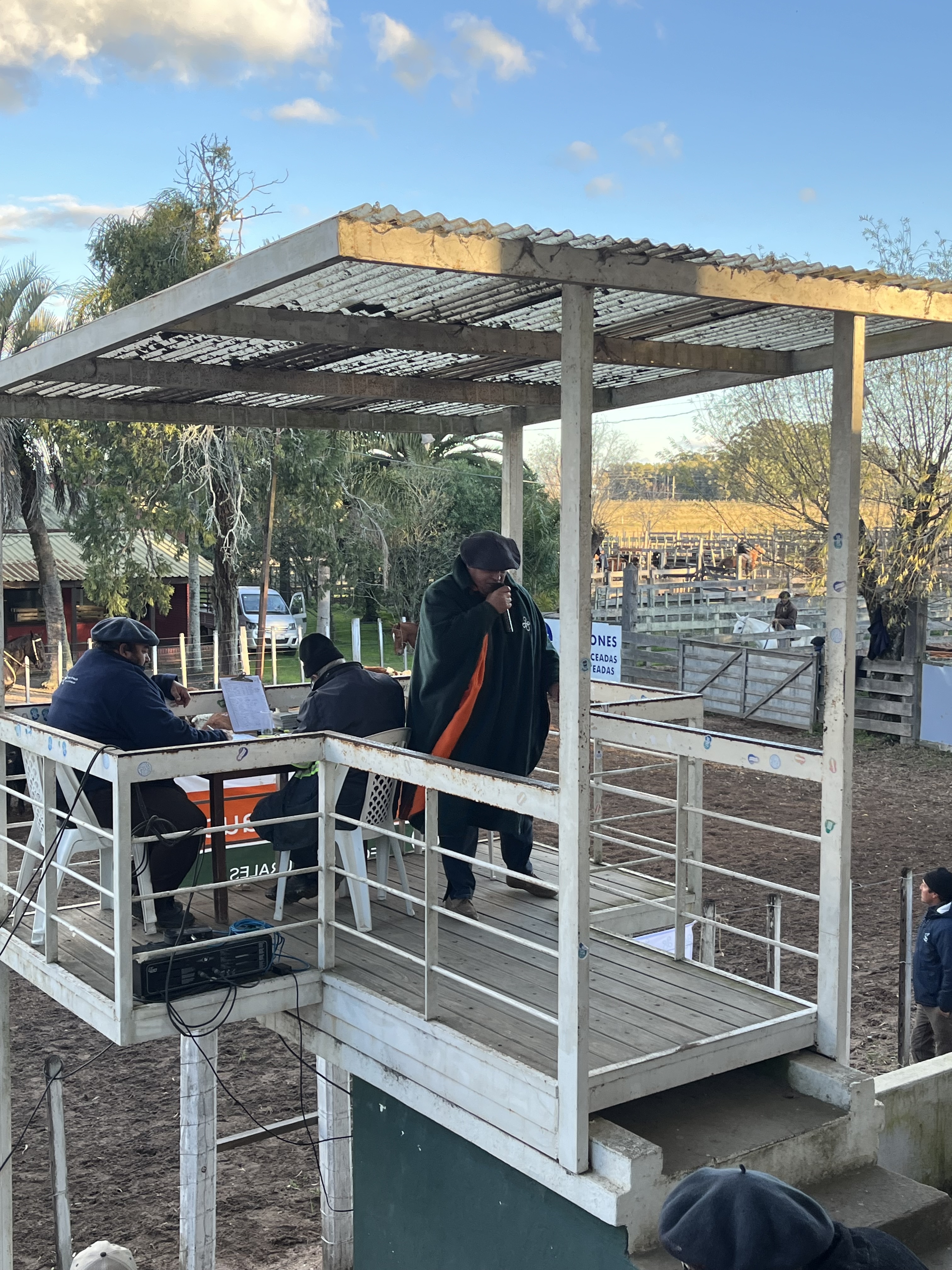Firme demanda y excelentes valores marcaron una nueva feria de Jorge Strauch Negocios Rurales en Treinta y Tres