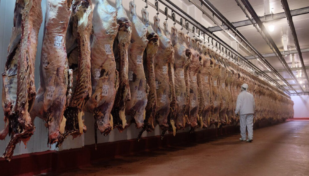 Argentina quedaría afuera del ranking mundial de exportación