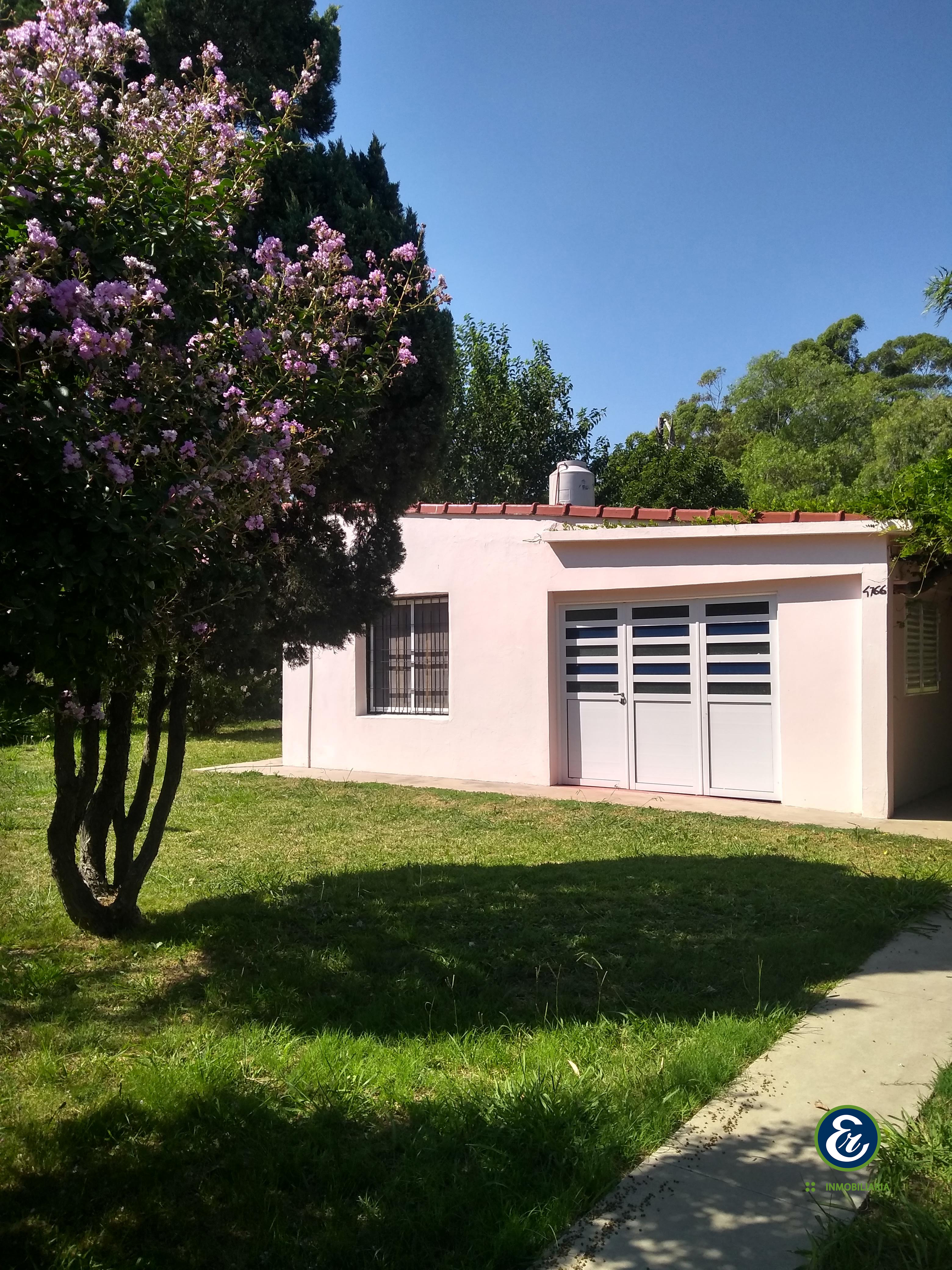 Las Acacias - Col. Avellaneda (c. 1335)