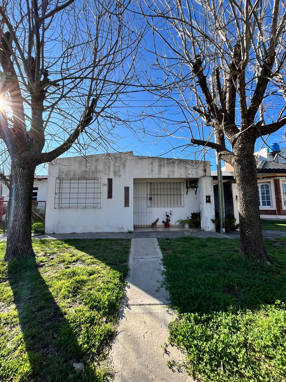 Moreno y ward (c.1518)