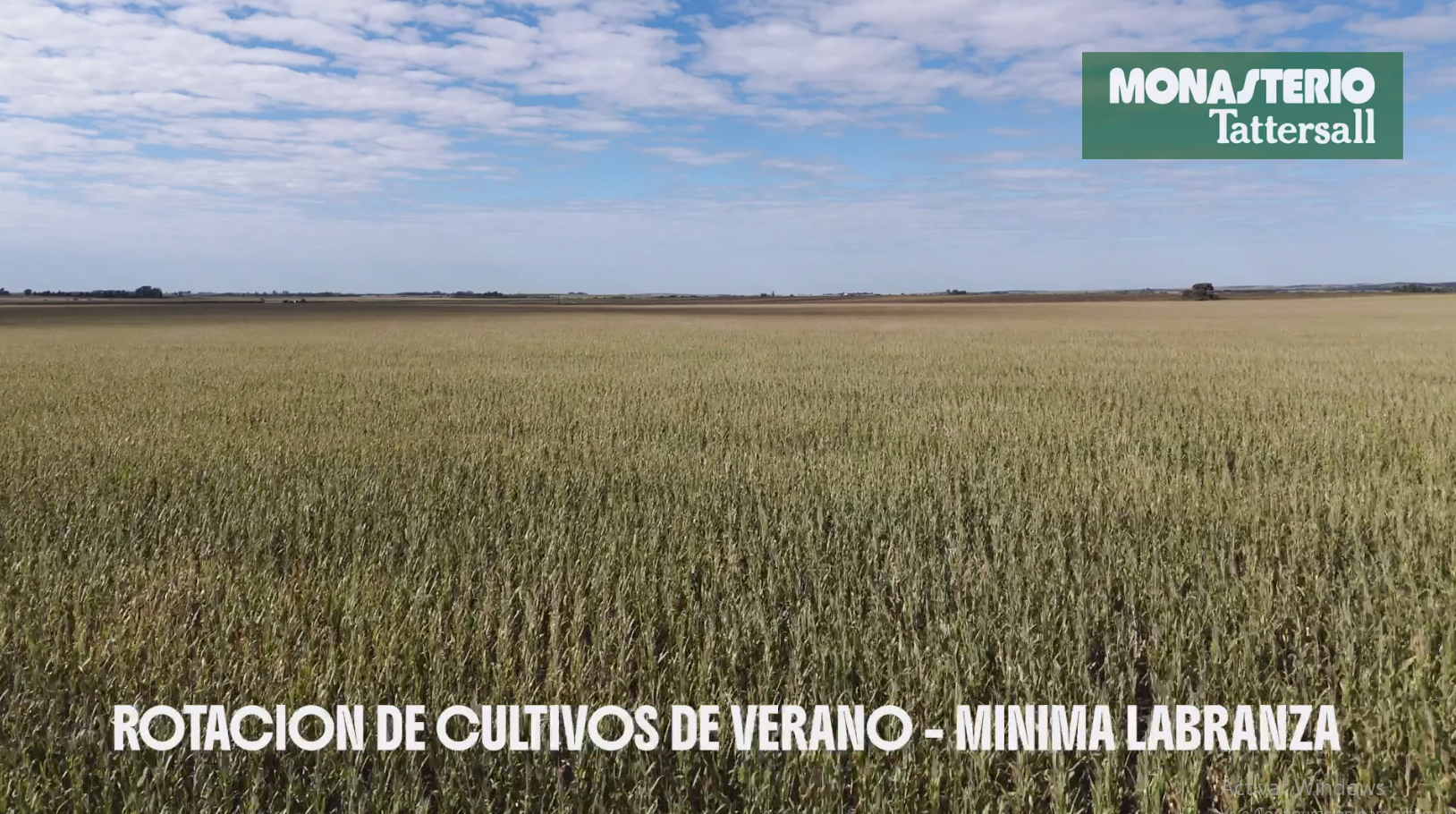 Achiras  -  100% Agrícola - Imagen 12