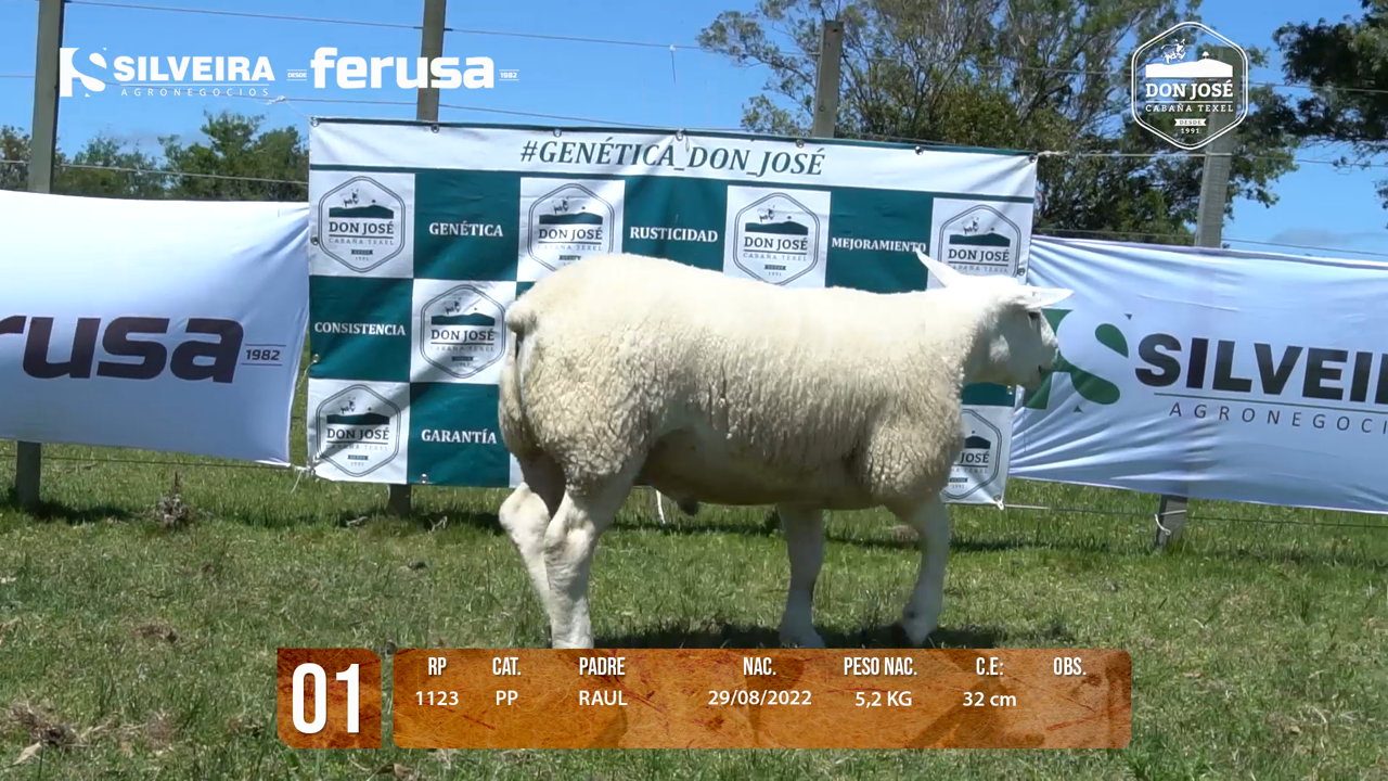 Ferusa - Subastas - LOTE 1 MACHO