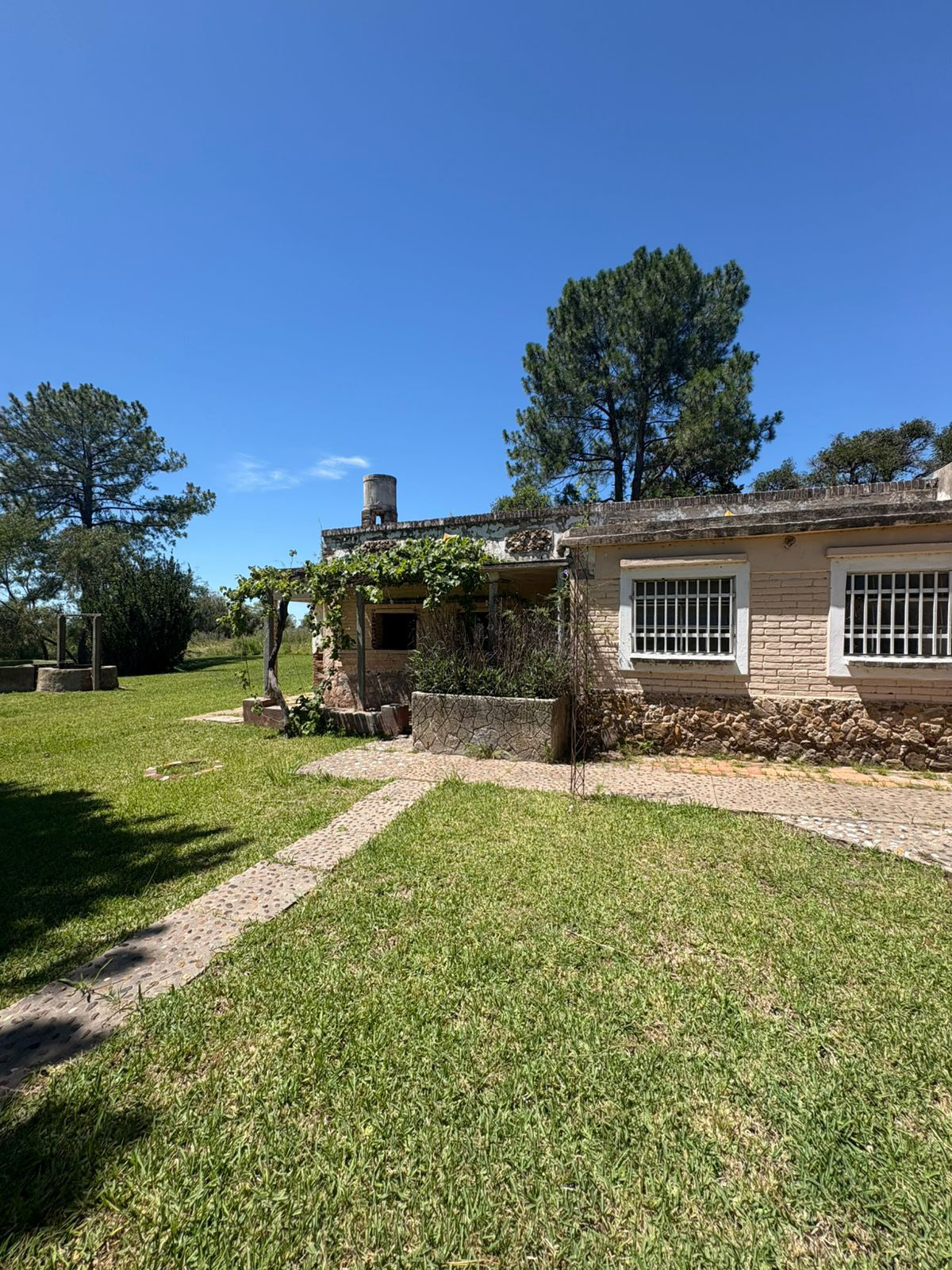 Alte. Brown z/Vivero Don Felipe (c. 1528)