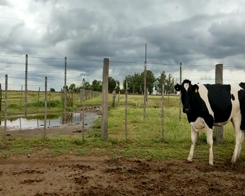 Lote Vq p/entorar La Rosita