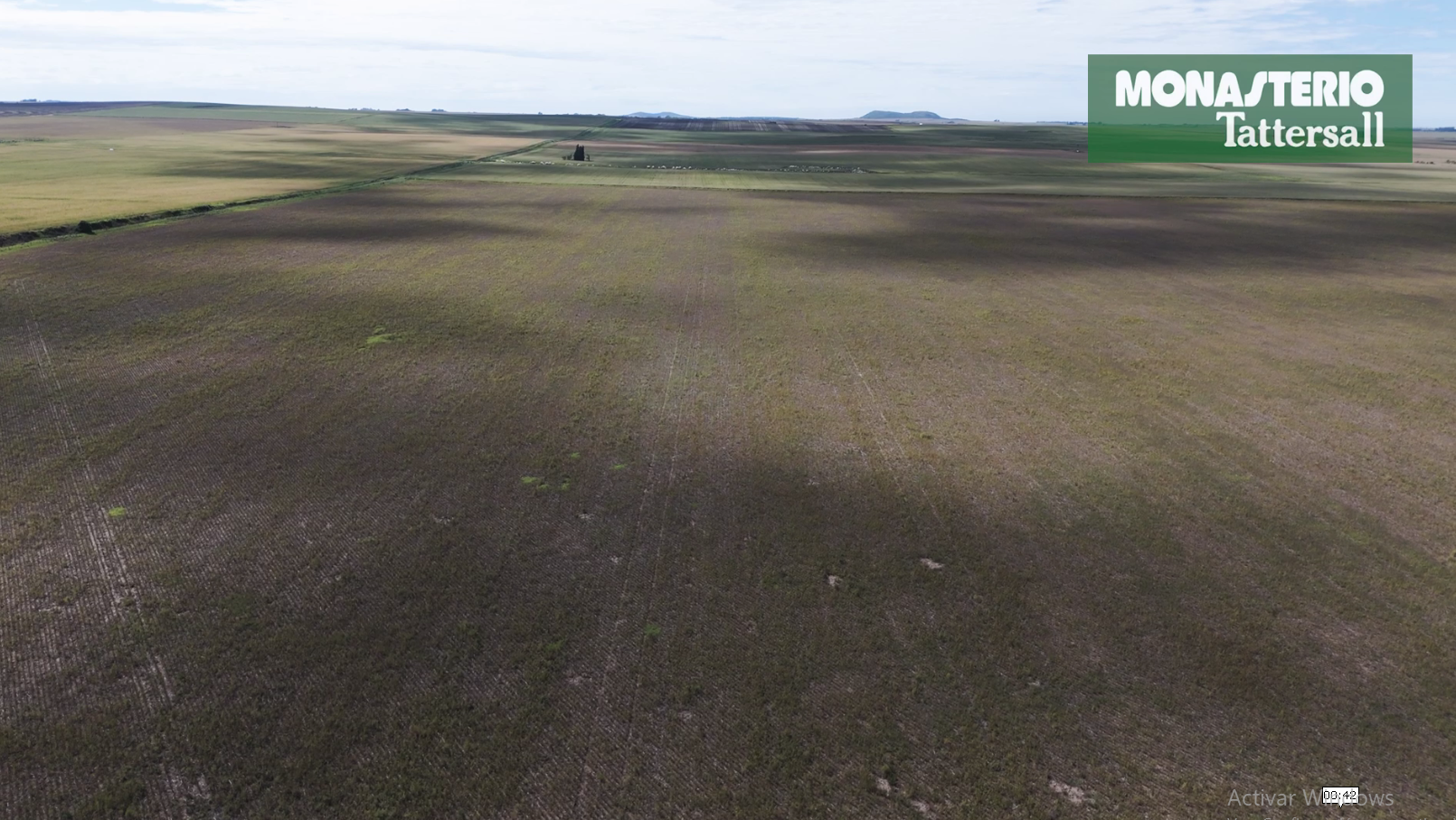 Achiras  -  100% Agrícola - Imagen 11