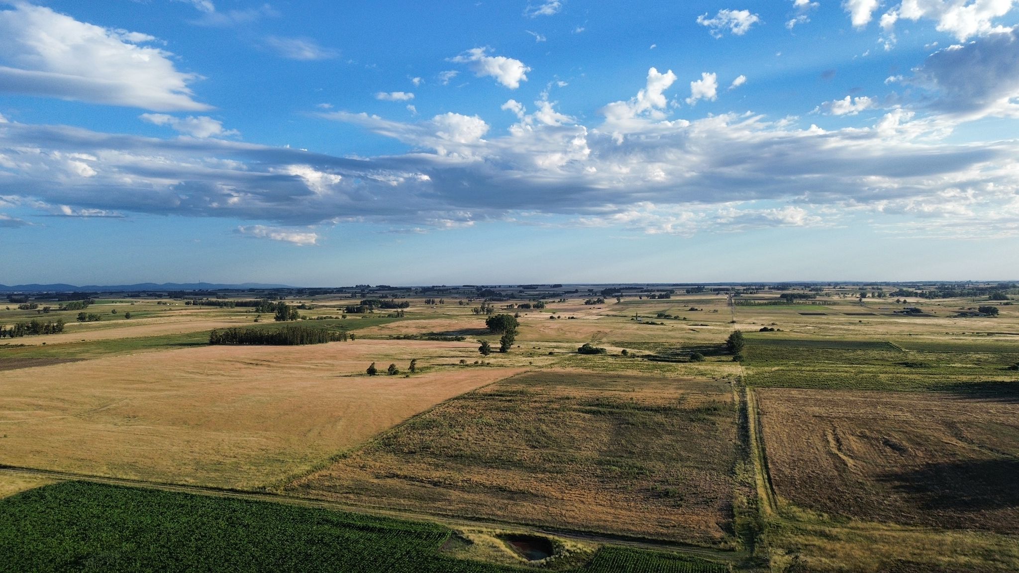 Barrancas 24 Has, Buen Campo - Suelos 10, Todo Para Forraje Y Agricultura. A 100 Km De Montevideo. Asegure Su Capital