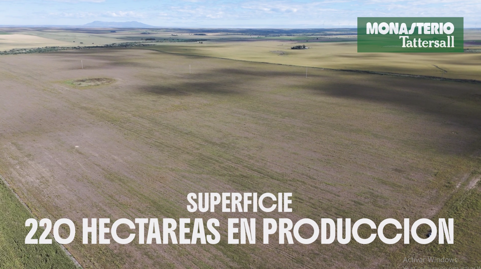 Achiras  -  100% Agrícola - Imagen 8